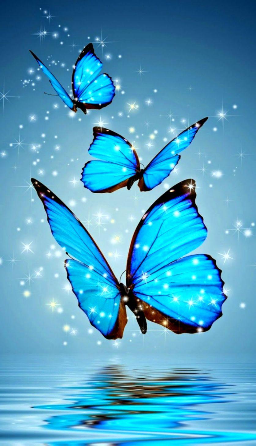 837x1456 Android Full Screen New HD Wallpaper Download