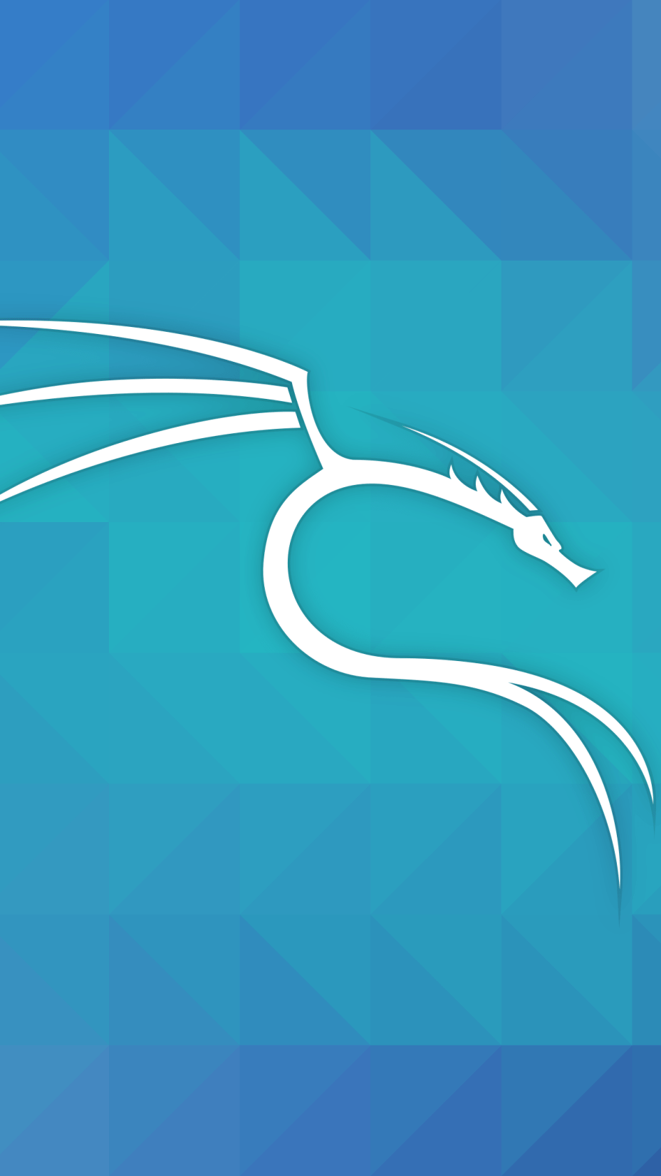 Kali Linux Phone Wallpapers Top Free Kali Linux Phone Backgrounds 