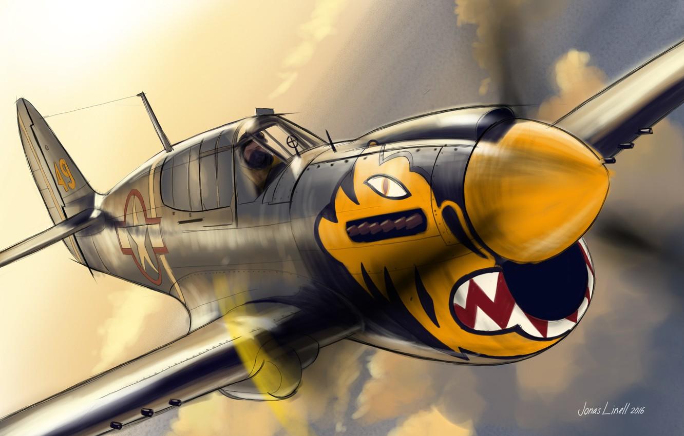 1332x850 Wallpaper flight, tiger, figure, fighter, screw, pilot, Curtiss, P- Warhawk, nose art image for desktop, section авиация