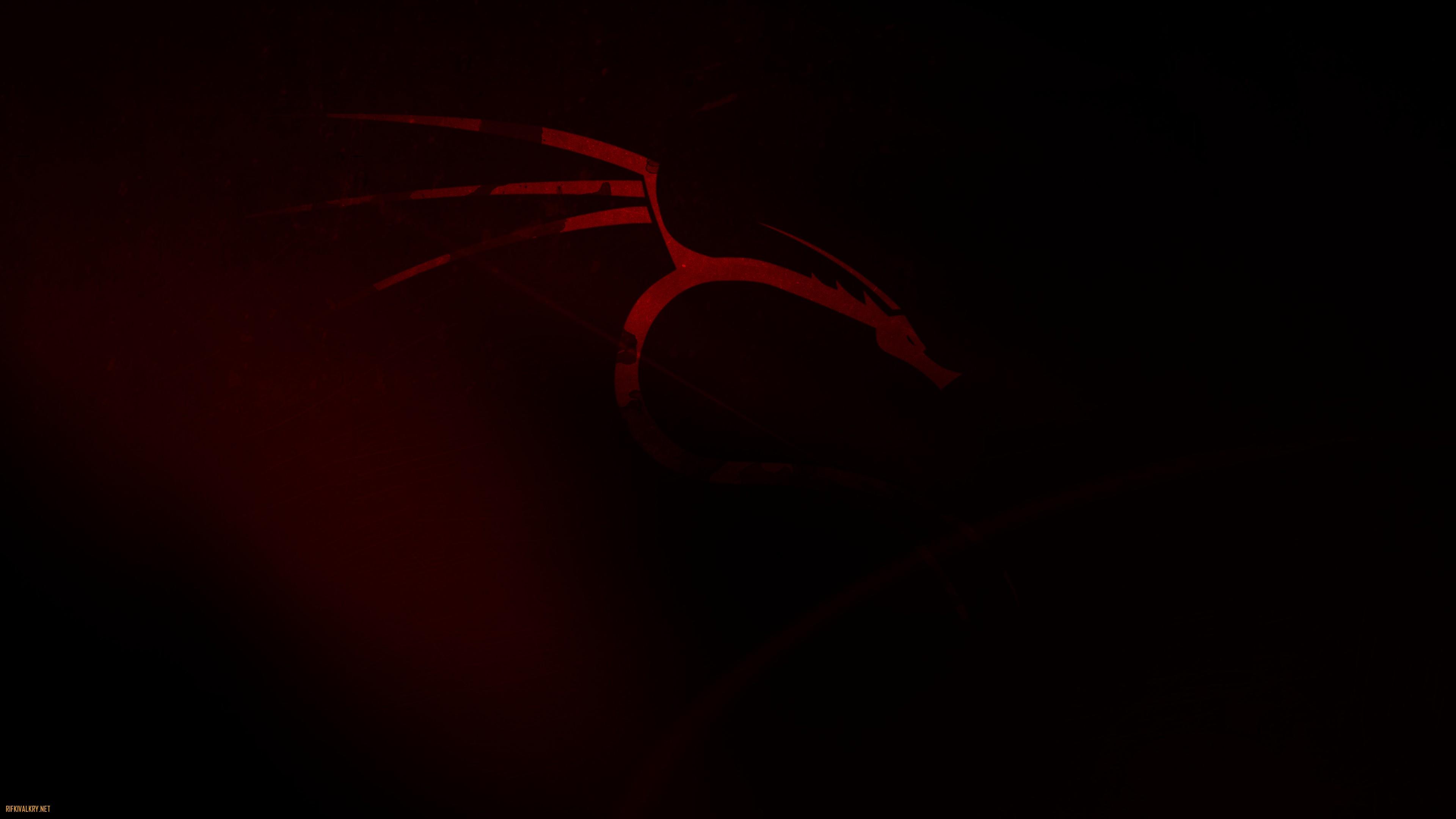 3840x2160 Kali Linux Wallpaper HD HD Wallpaper