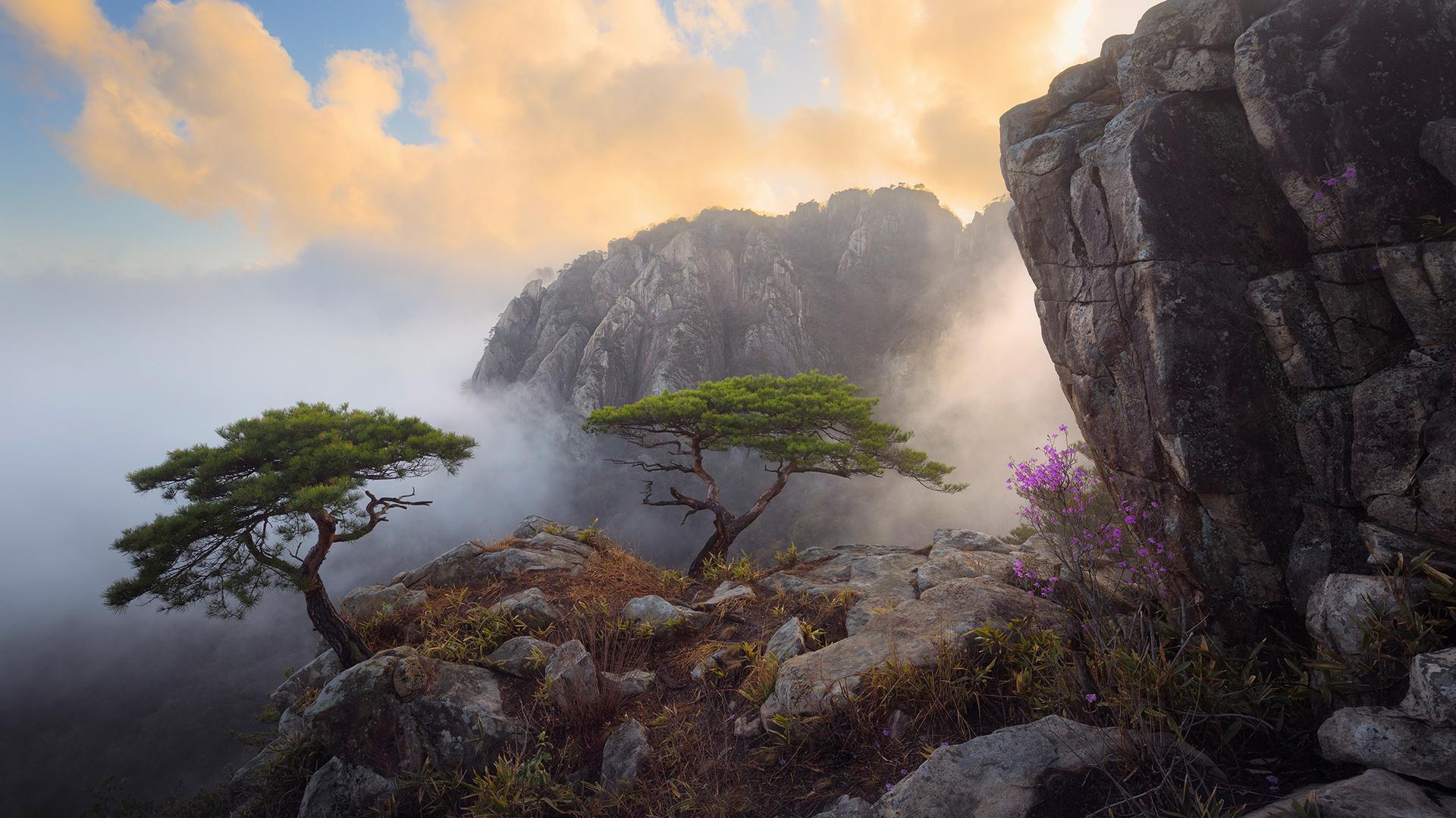 1920x1080 Daedunsan South Korea Laptop Full HD 1080P HD 4k Wallpaper, Image, Background, Photo and Picture