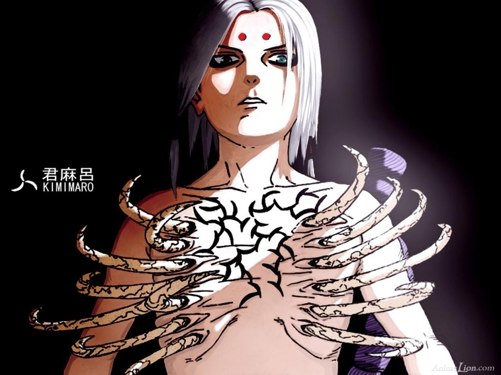 1024x768 anime kimimaro Kimimaro