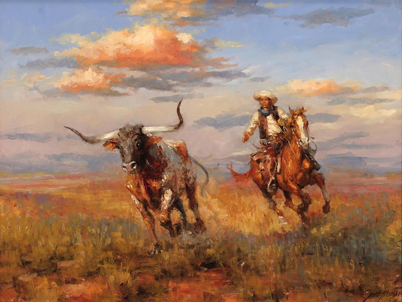 1362x1024 Wallpaper horse Cowboy Men Andy Thomas, Bringing Back the Stray
