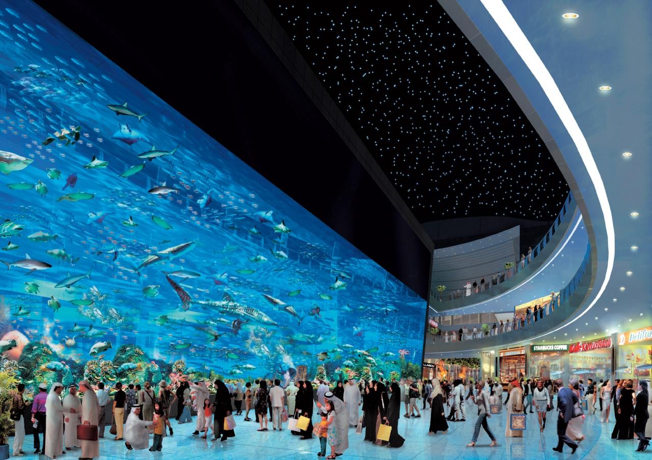 1280x903 Free download Download Dubai Mall Aquarium Wallpaper Full HD Wallpaper [1280x903] for your Desktop, Mobile & Tablet. Explore Dubai Wallpaper Free Download. Betty Boop Wallpaper Free Download, Windows Wallpaper
