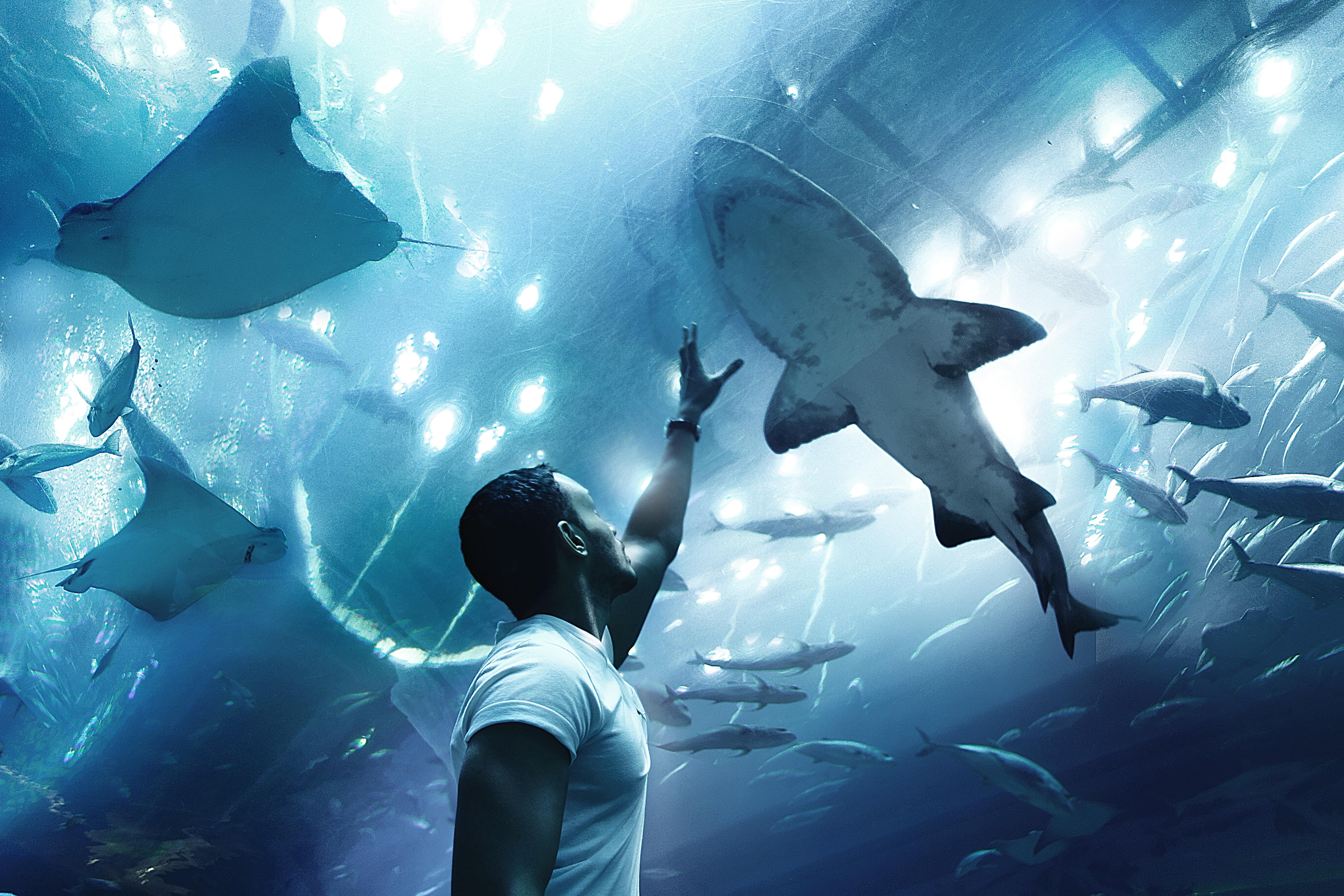 5472x3648 dubai mall HD wallpaper, Background