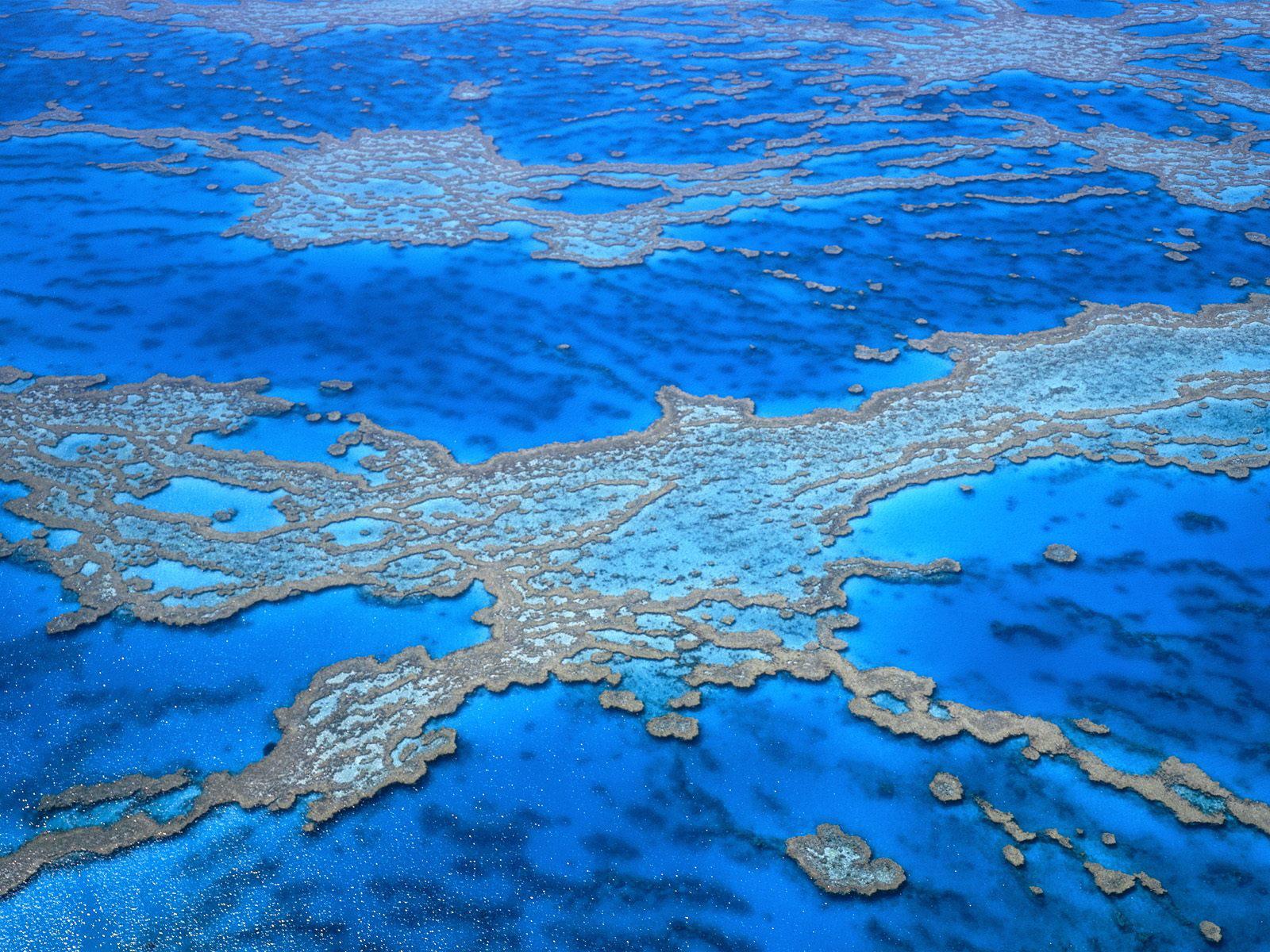 1600x1200 great barrier reef wallpaper. great barrier reef