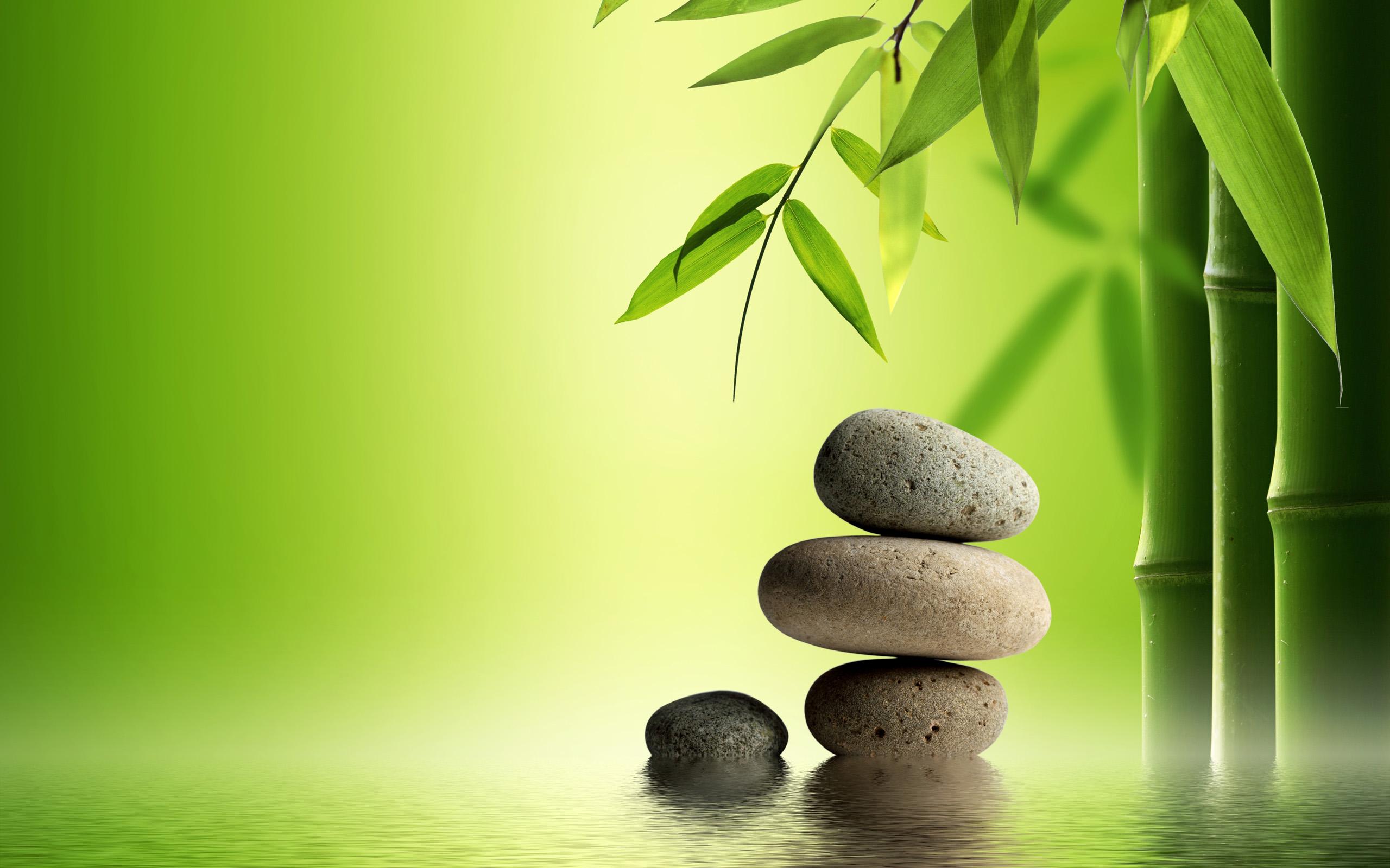 Bamboo Stone Wallpapers - Top Free Bamboo Stone Backgrounds