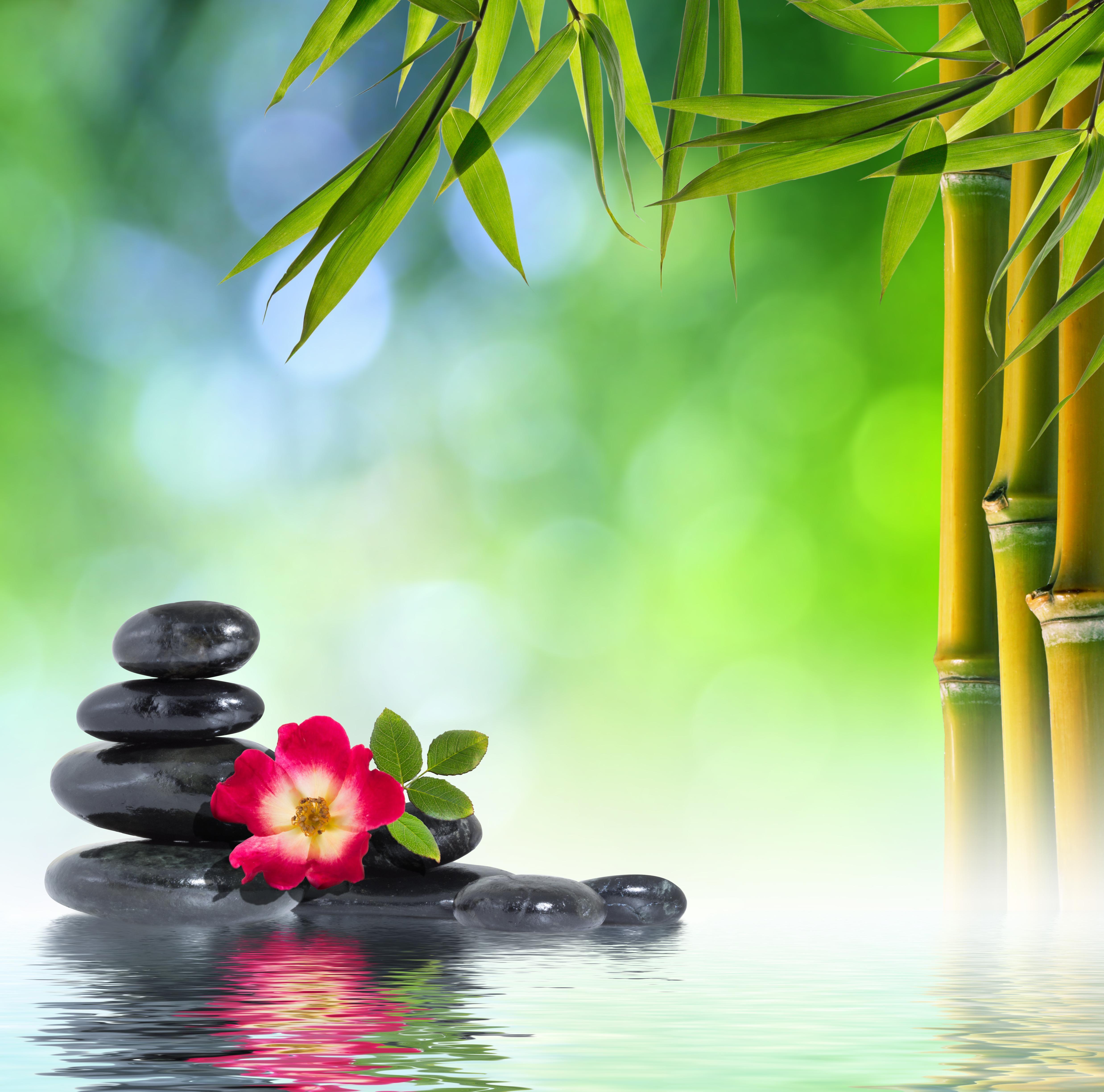 4950x4895 RELAXING WALLPAPER - Wallpaper - [wallpaperinhq.pw]. Painting flowers tutorial, Zen picture, Zen