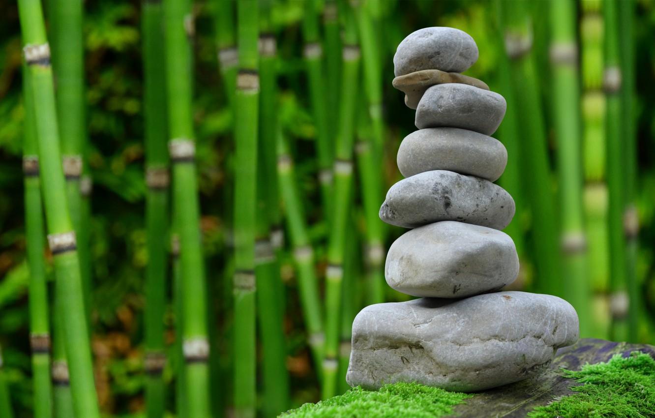 1332x850 Wallpaper pyramid, bamboo grove, pebbles, zen image for desktop, section разное