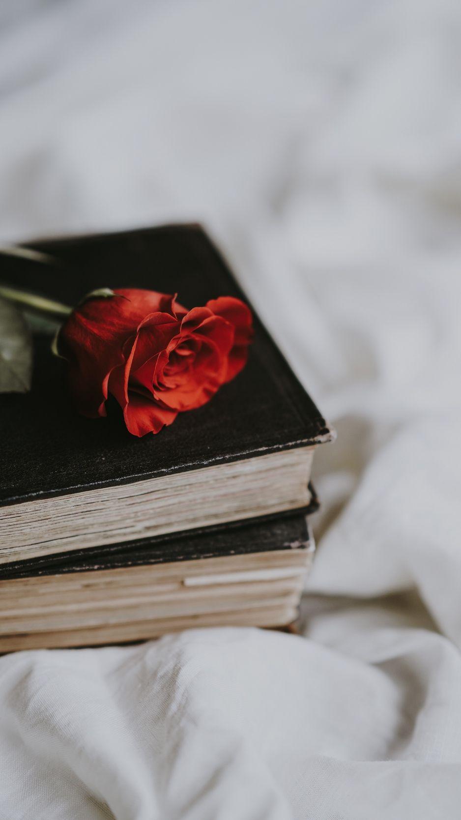 938x1668 Rose In Book Wallpaper