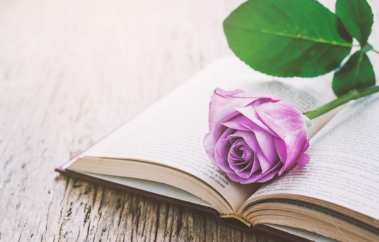 1332x850 Wallpaper flowers, roses, book, love, vintage, flowers, romantic, purple, book, roses, violet image for desktop, section цветы