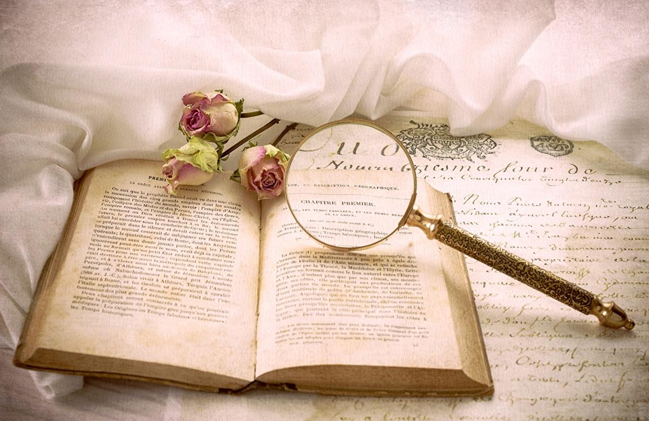1280x830 Wallpaper Page rose Flowers books Closeup