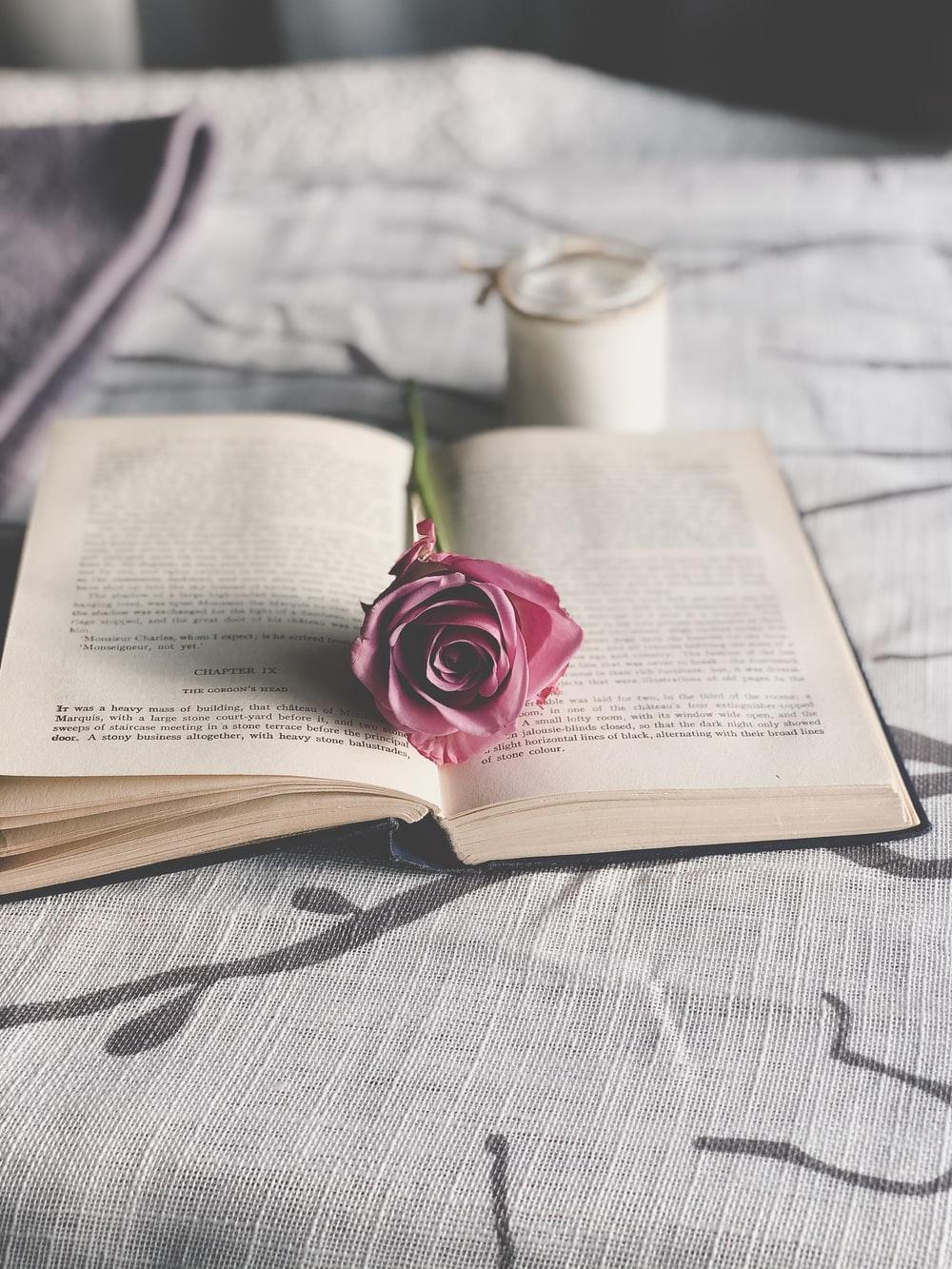 1000x1333 HQ Rose On Book Picture. Download Free Image