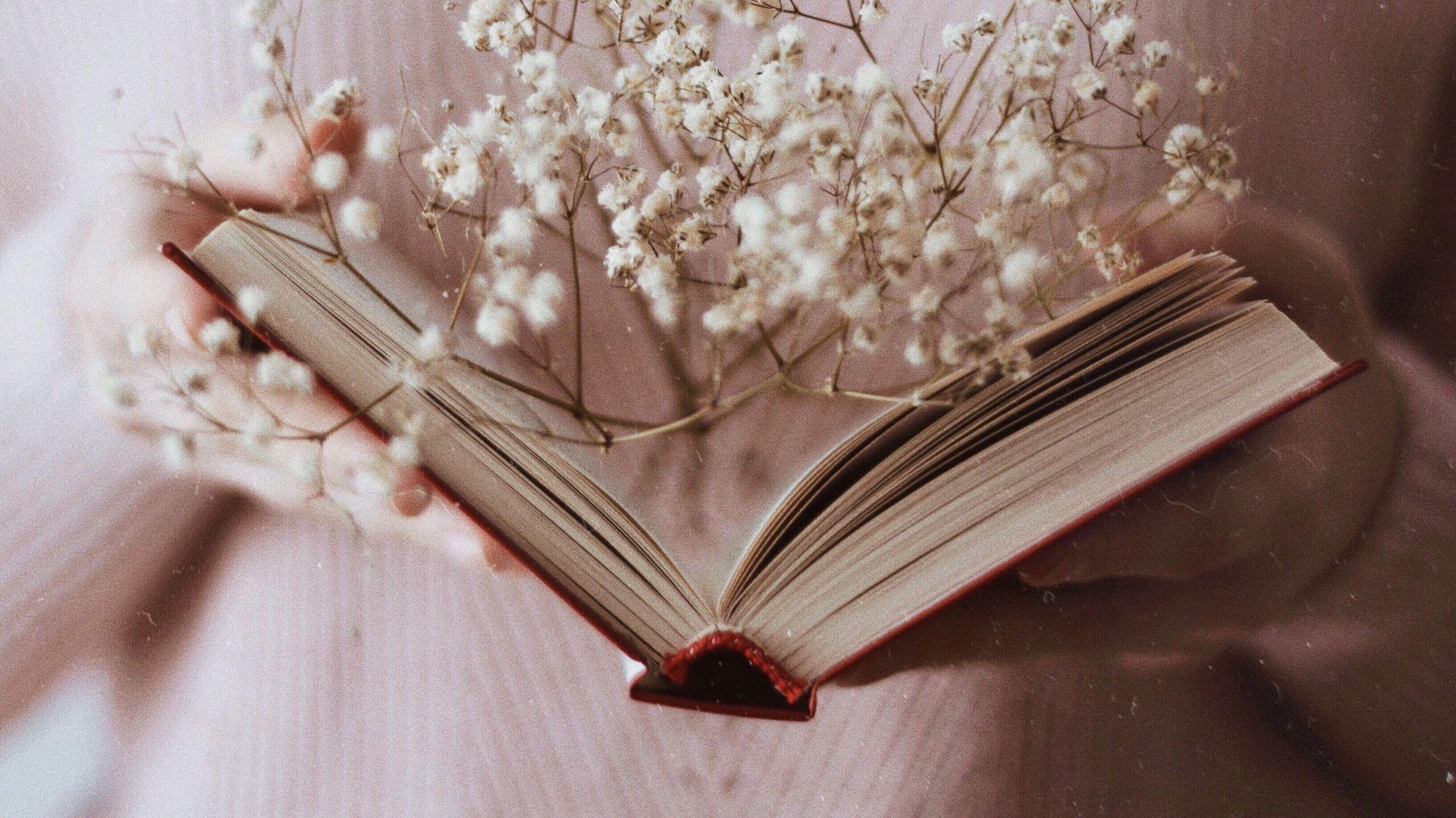 2560x1440 Wallpaper Book, Branch, Flowers, White, Open - Открытая Книна HD Wallpaper