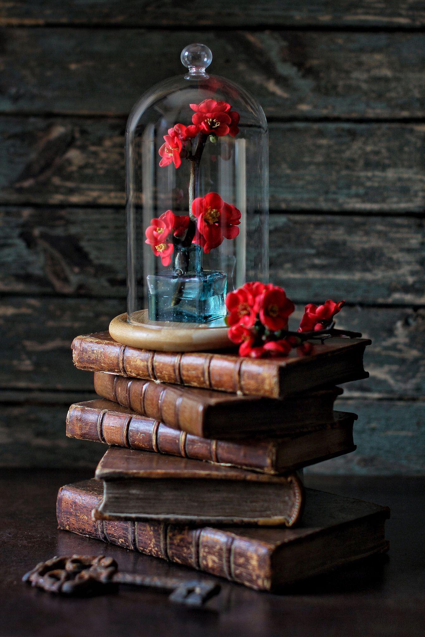 1365x2048 Trapped Beauty. Book wallpaper, Beautiful wallpaper, Beautiful nature wallpaper