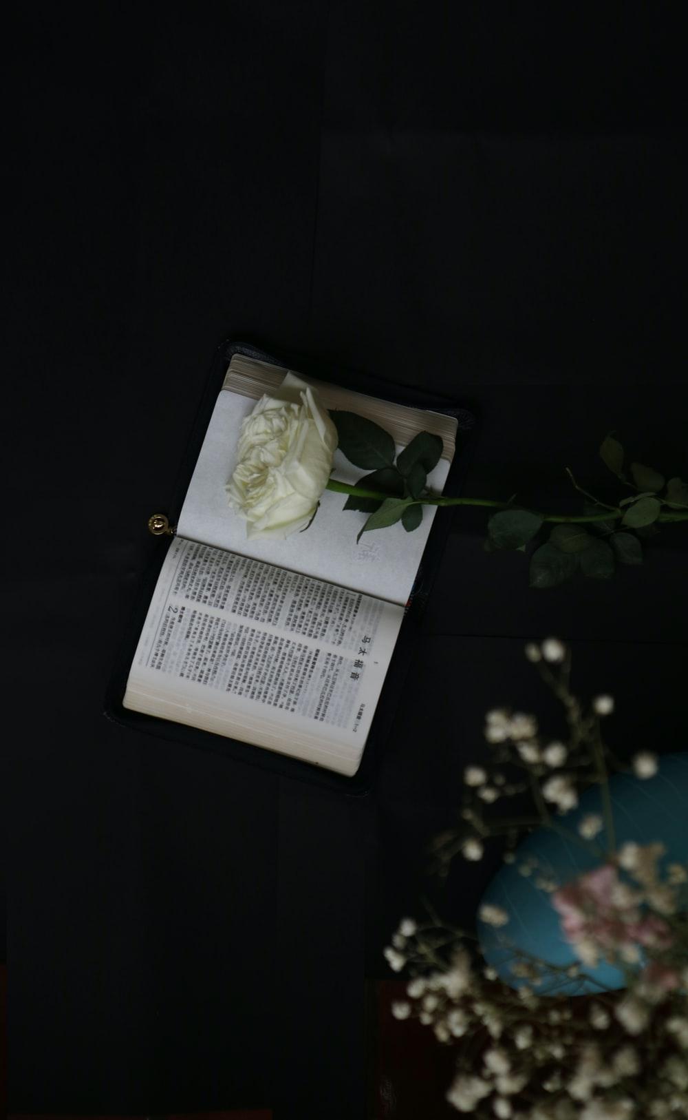 1000x1626 Flower And Book Picture. Download Free Image