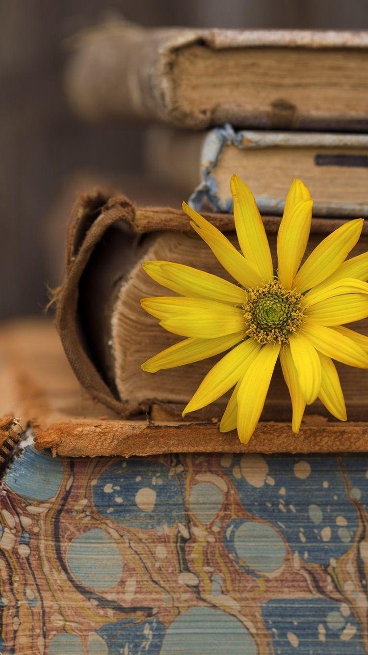 750x1334 iPhone Yellow Flower Wallpaper