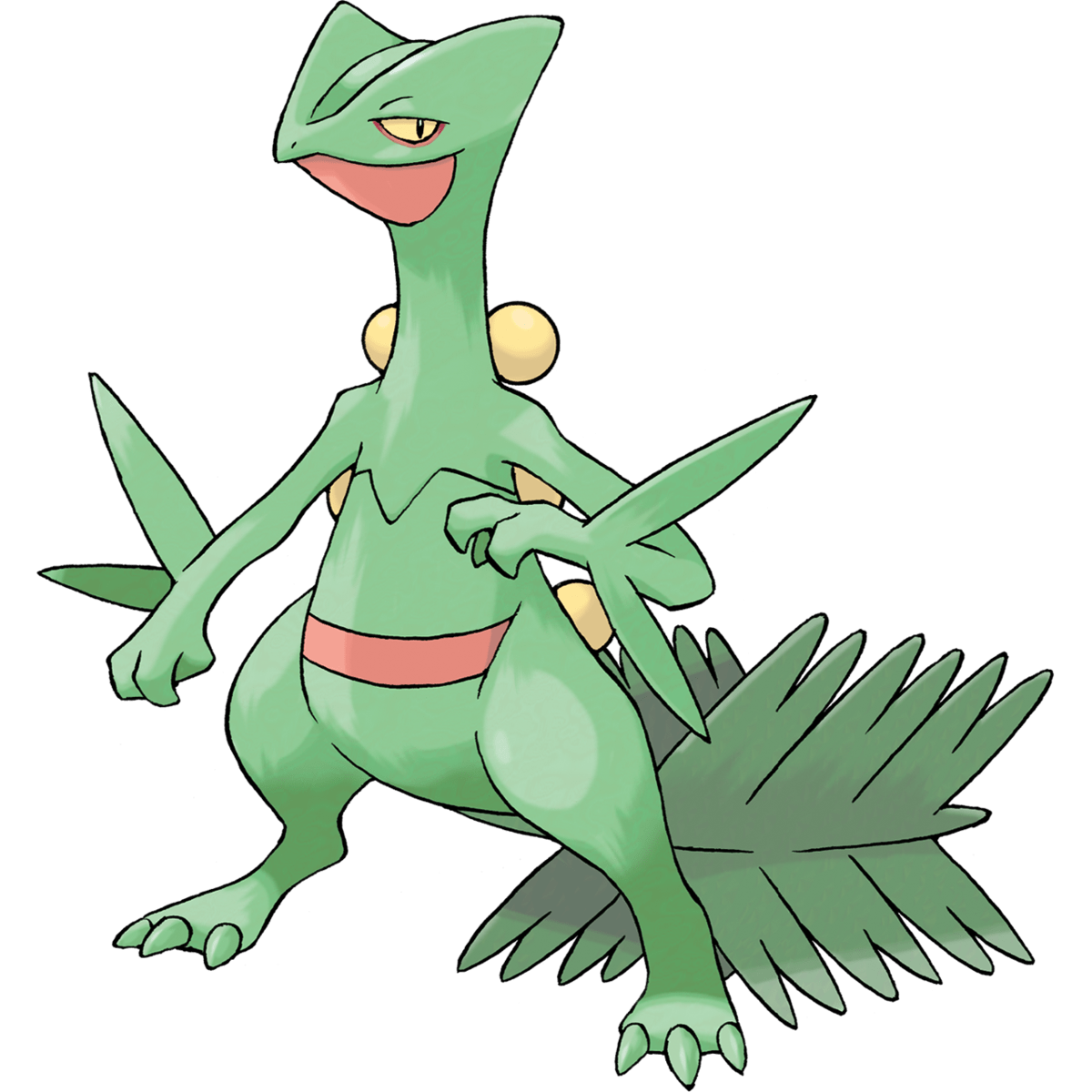 1200x1200 Sceptile (Pokémon), The Community Driven Pokémon Encyclopedia