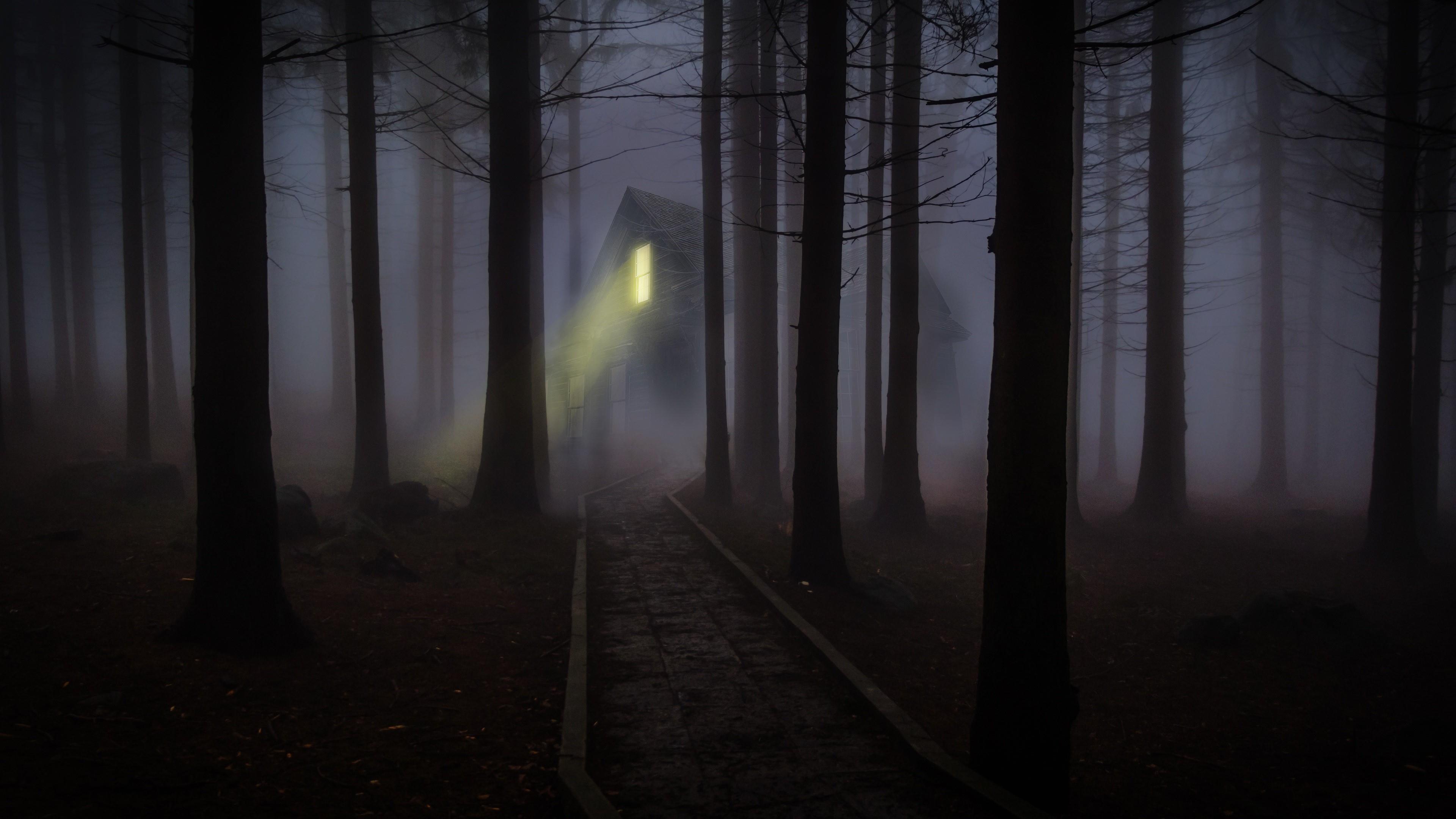 3840x2160 Spooky Forest Wallpaper