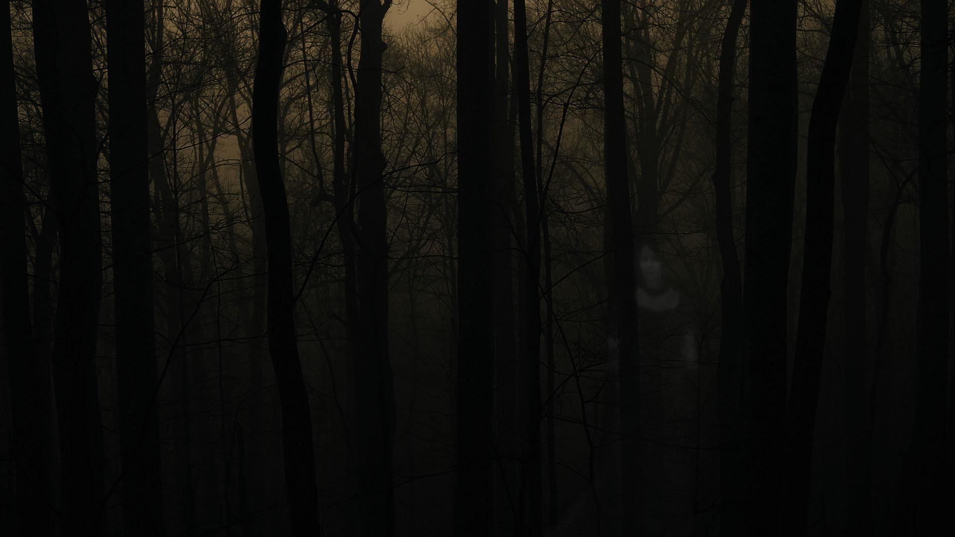 1920x1080 Forest Halloween Wallpaper