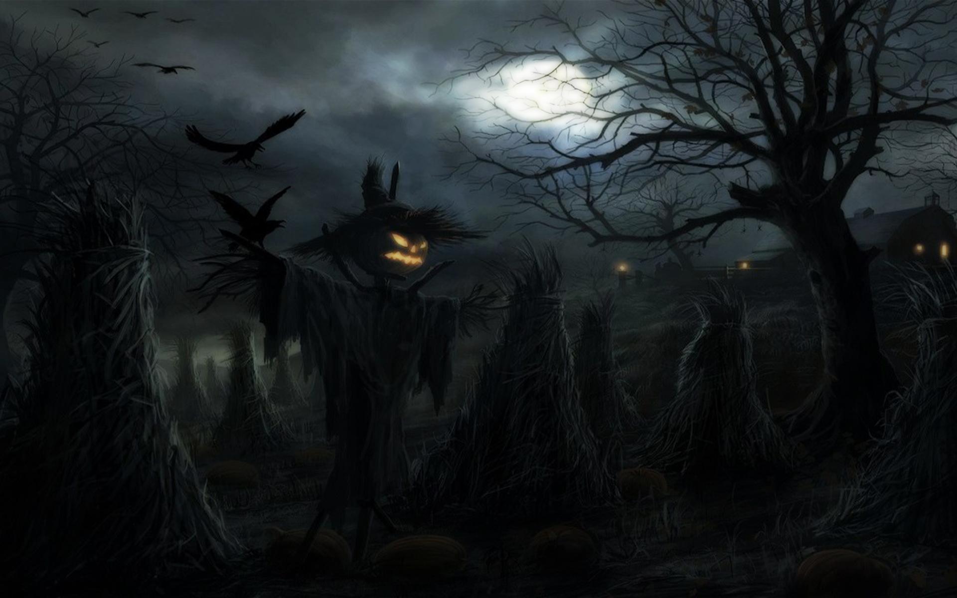 1920x1200 Download Scary Forest Wallpaper HD
