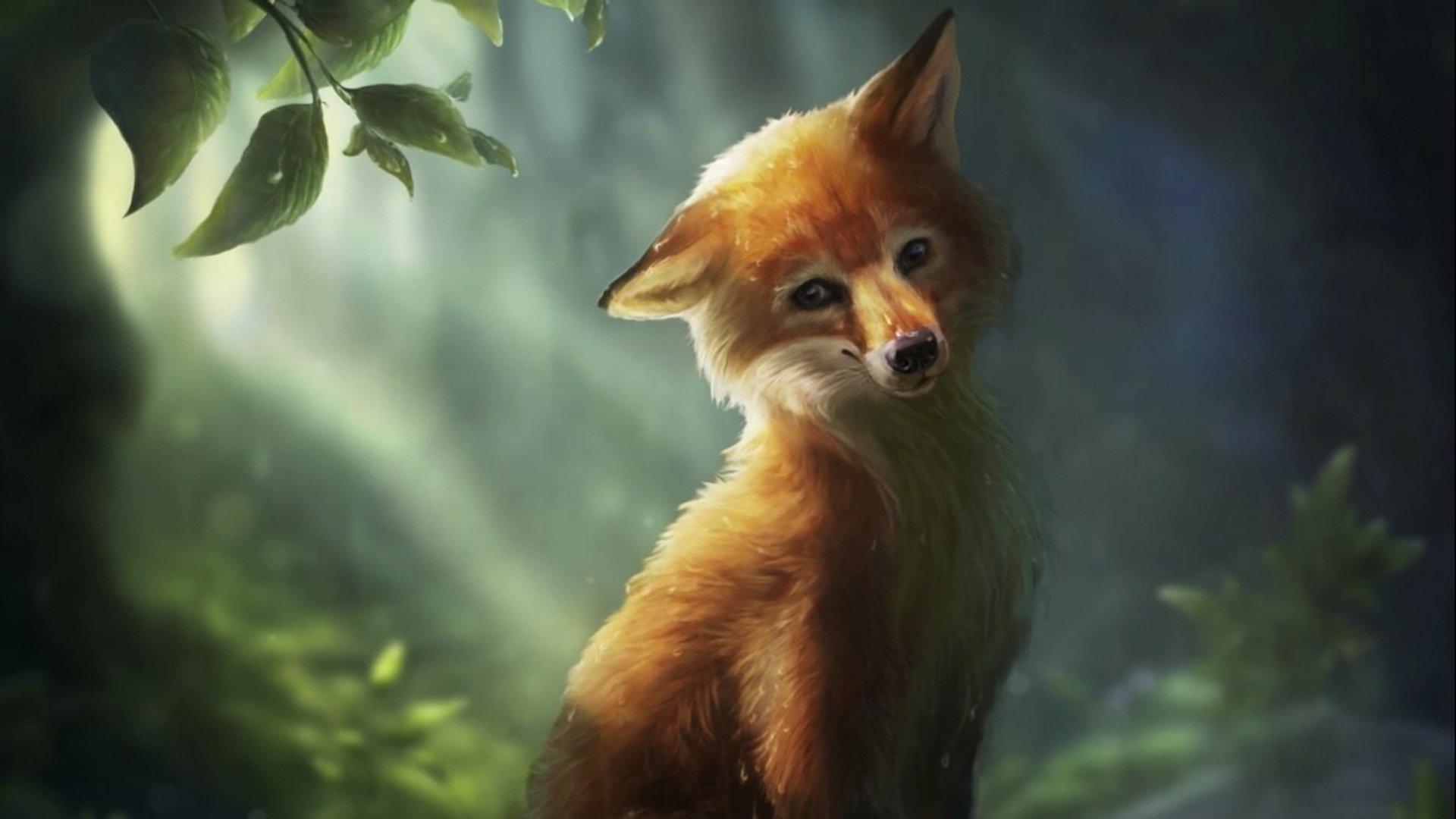 1920x1080 Cute Fox HD Wallpaper