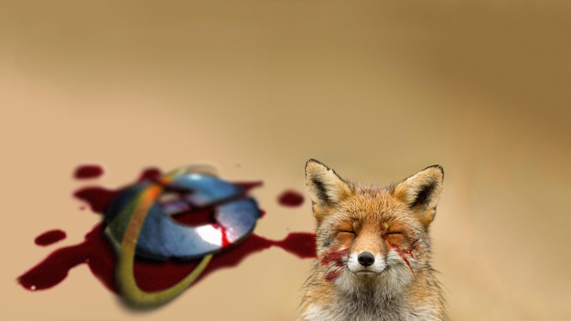 1920x1080 Fox Wallpaper background picture