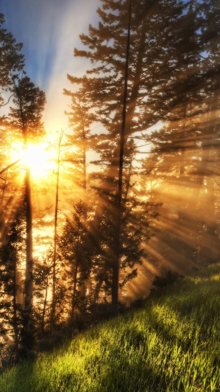 750x1334 Brilliant Quality High Resolution Wallpaper HD Wallpaper Resolution Phone Wallpaper Nature