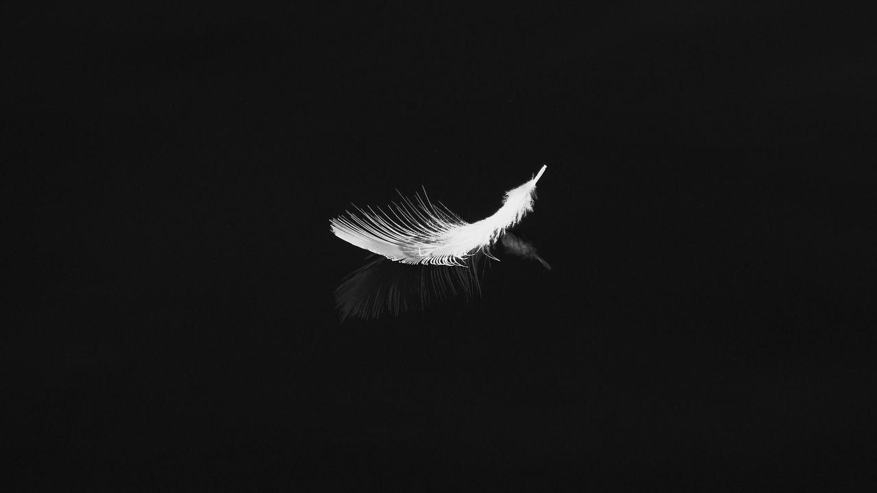 1280x720 Black feather wallpaper 2021
