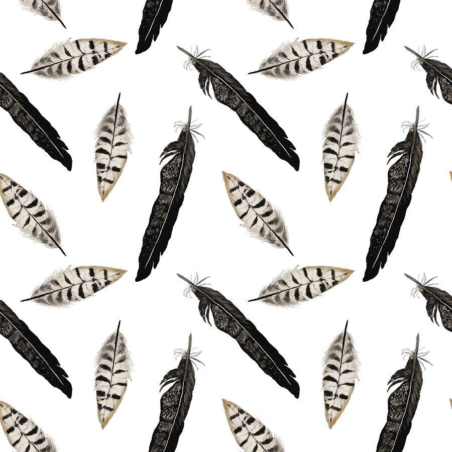 900x900 Black and White Feathers. Wallpaper, White feathers, Feature wallpaper