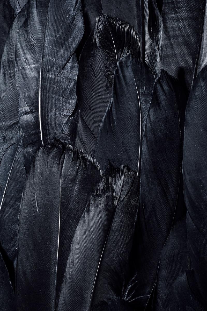 800x1200 Wallpaper Feathers, Black, Dark