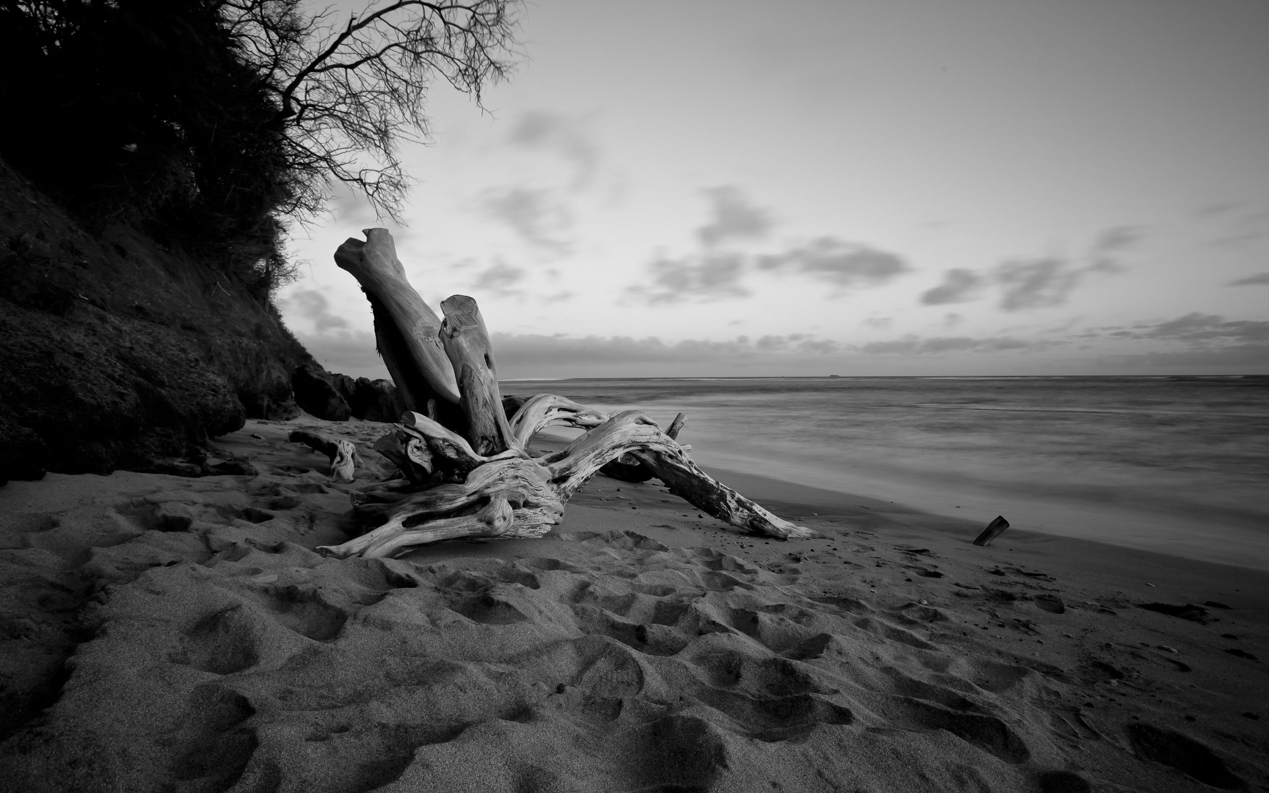 2560x1600 Diamond Head Beach HD Wallpaper