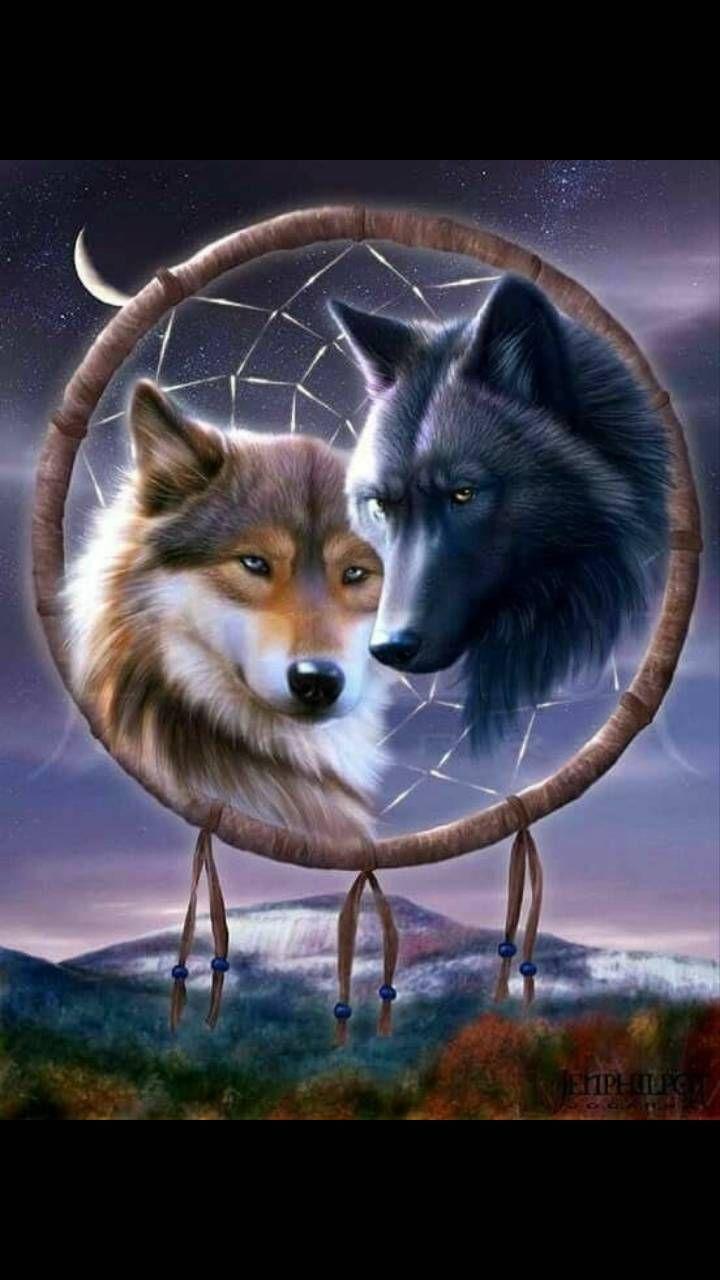 720x1280 Download Wolf dreem catcher Wallpaper by whitewolf11357 now. Browse millions of popular dre. Wolf spirit, Wolf spirit animal, Wolf wallpaper