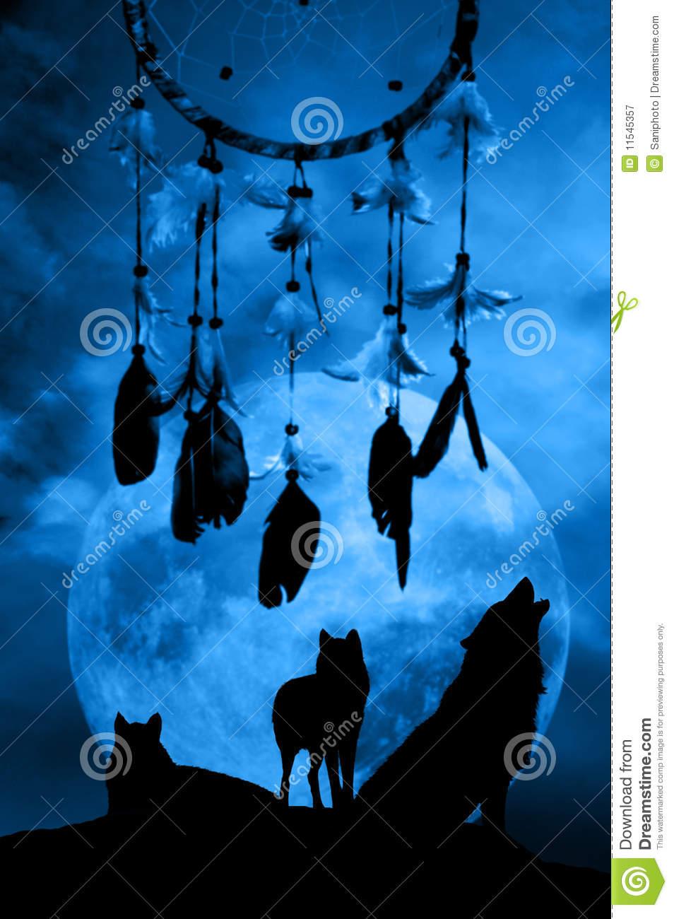 954x1300 Wolf Dreamcatcher Wallpaper