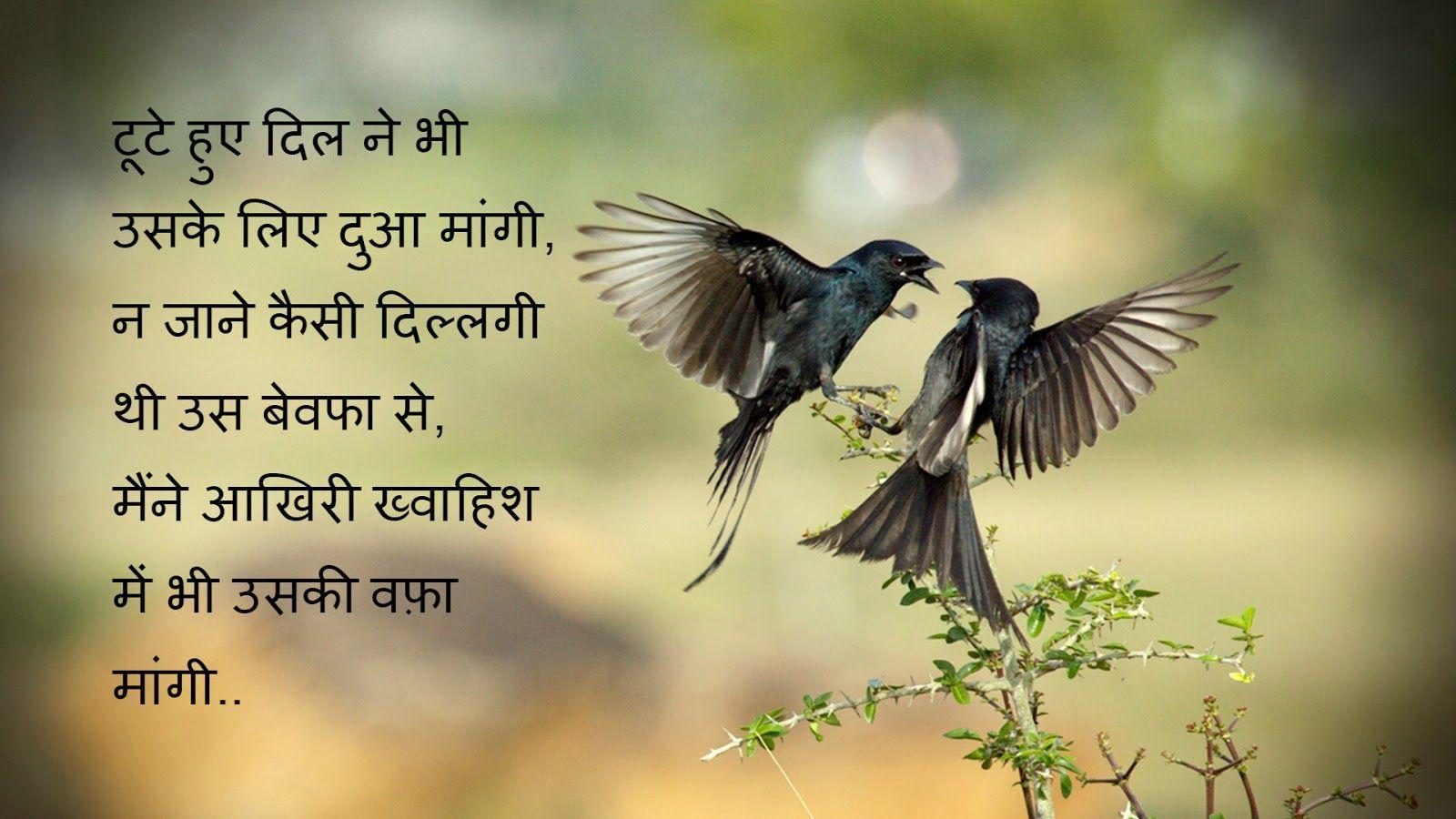 1600x900 Sad Shayari Wallpaper Full HD
