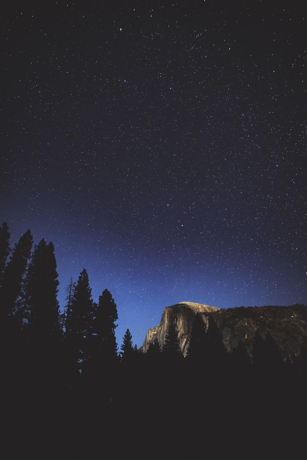 1000x1498 Pixel 3 Wallpaper: Free HD Download [HQ]