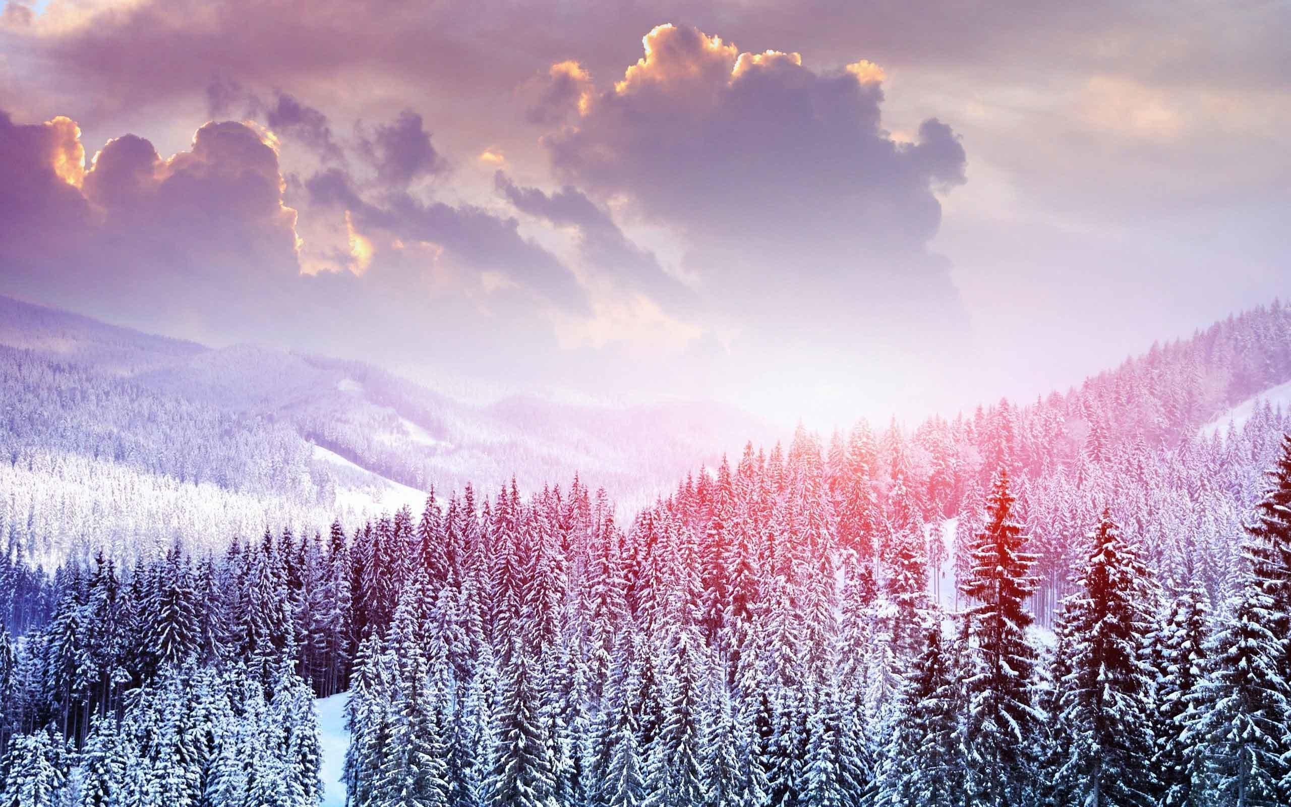 2560x1600 Cute Winter Computer Wallpaper