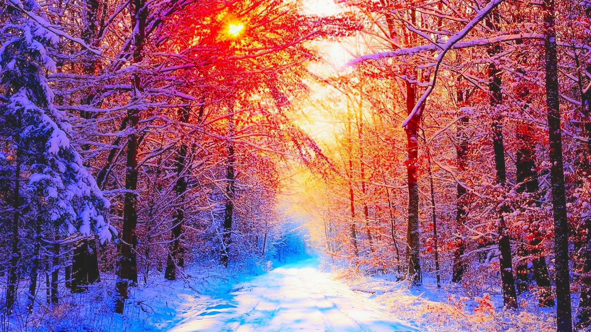 1920x1080 Winter Wallpaper Full HD WSW20214601 Middle School