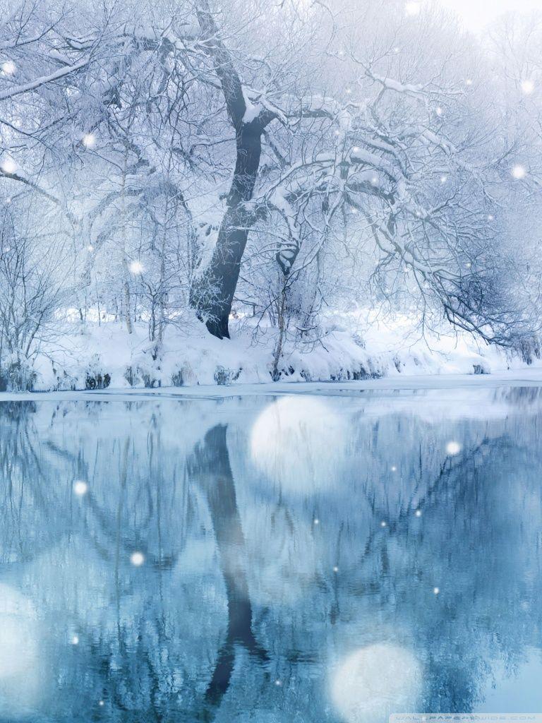 768x1024 Winter Phone Background