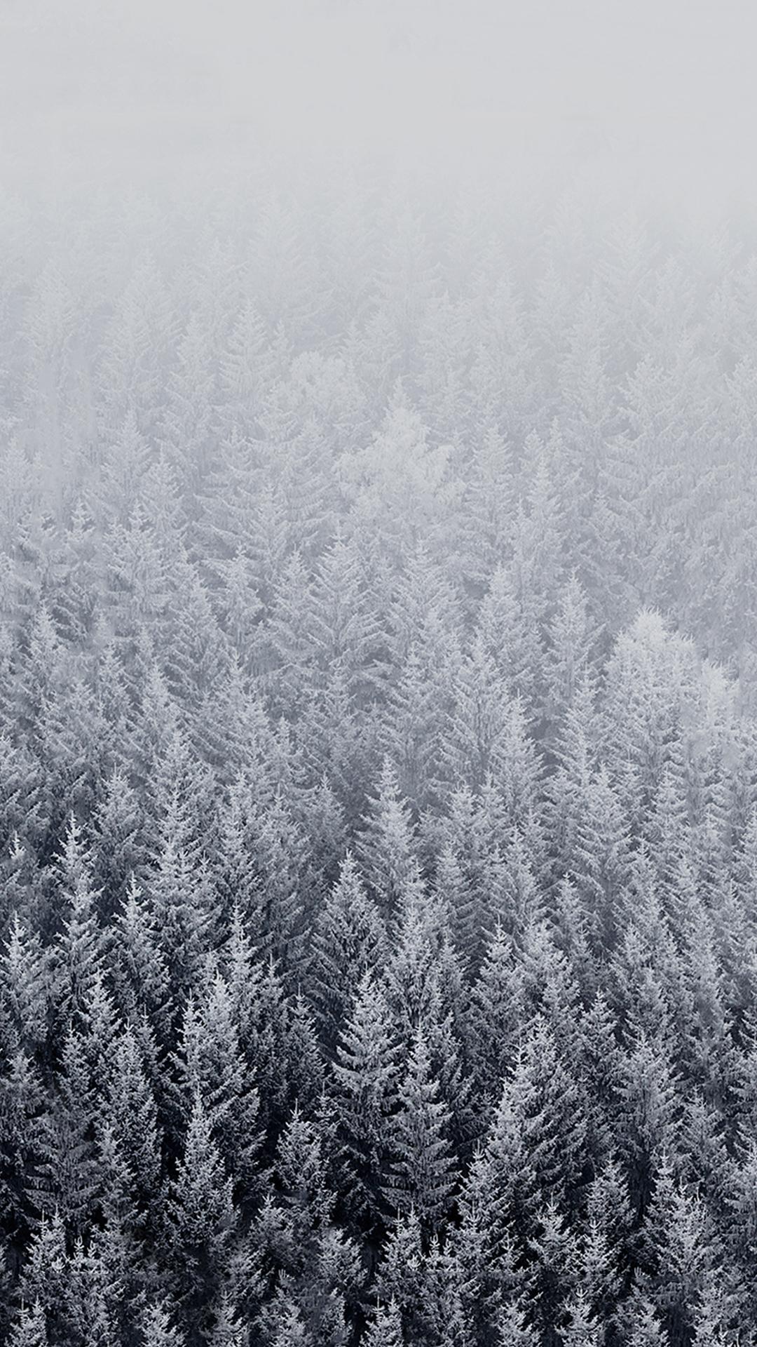 1080x1920 Pretty White Winter Wallpaper