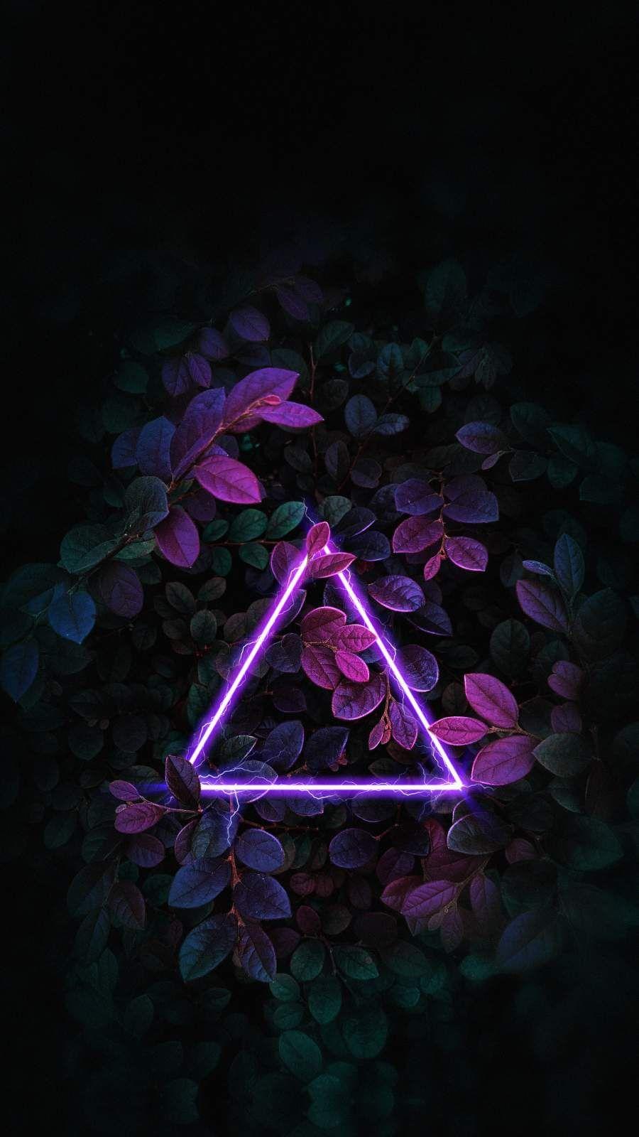 900x1600 Nature Neon Light Foliage Wallpaper Wallpaper : iPhone Wallpaper. iPhone wallpaper lights, iPhone wallpaper photo, Neon wallpaper