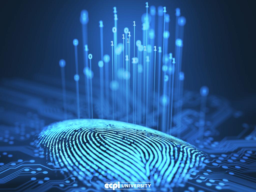 Digital Forensics Wallpapers - Top Free Digital Forensics Backgrounds