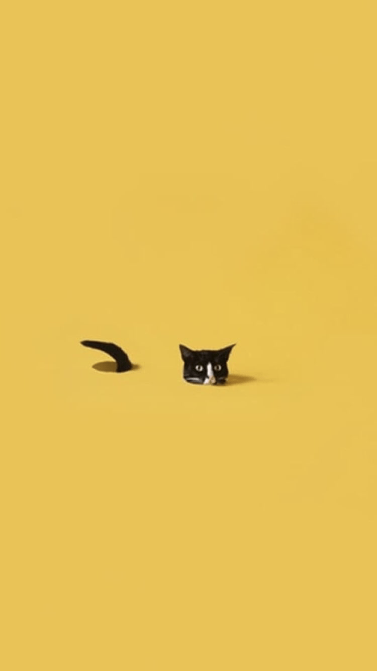 750x1334 iPhone Black Cat Aesthetic Wallpaper