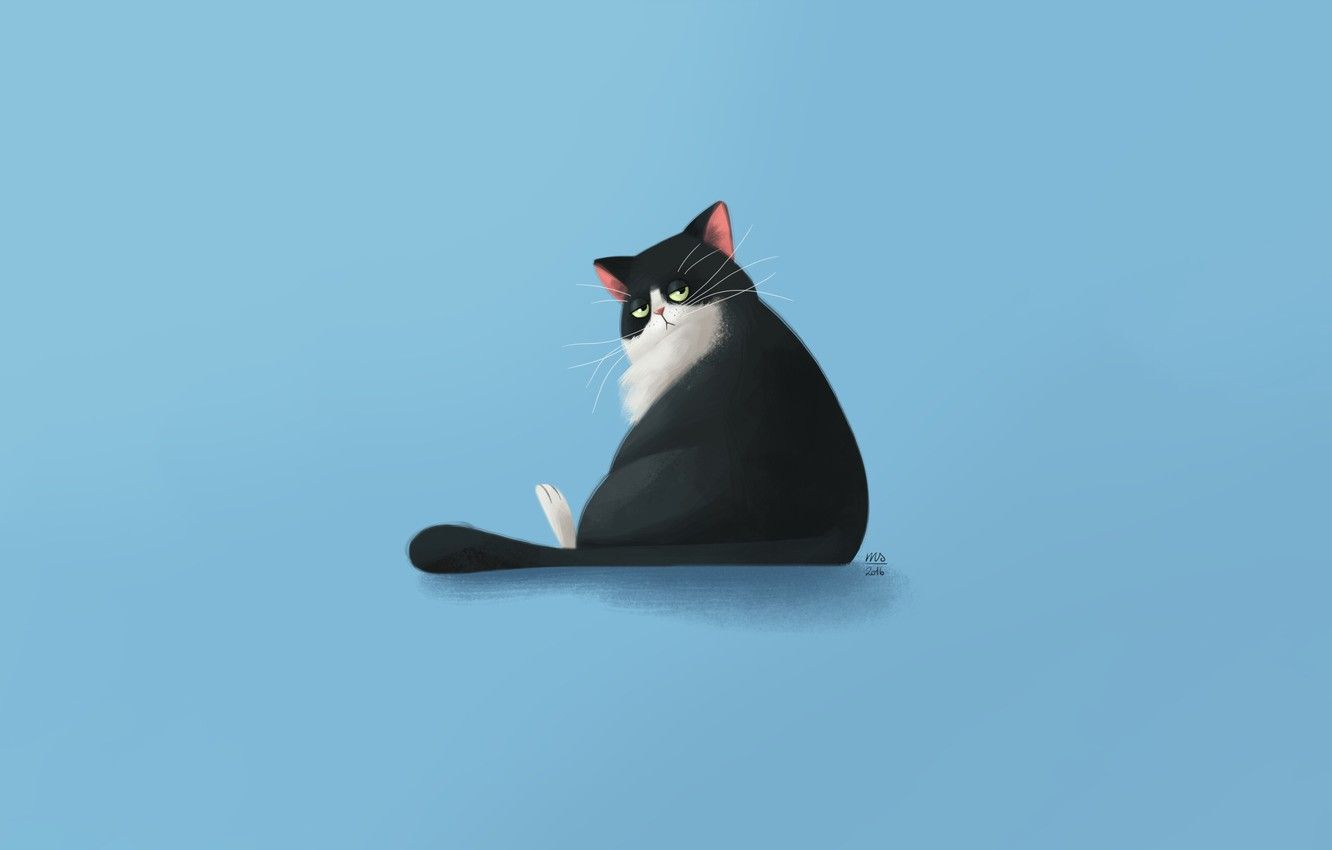 Simple Cat Wallpapers - Top Free Simple Cat Backgrounds - WallpaperAccess