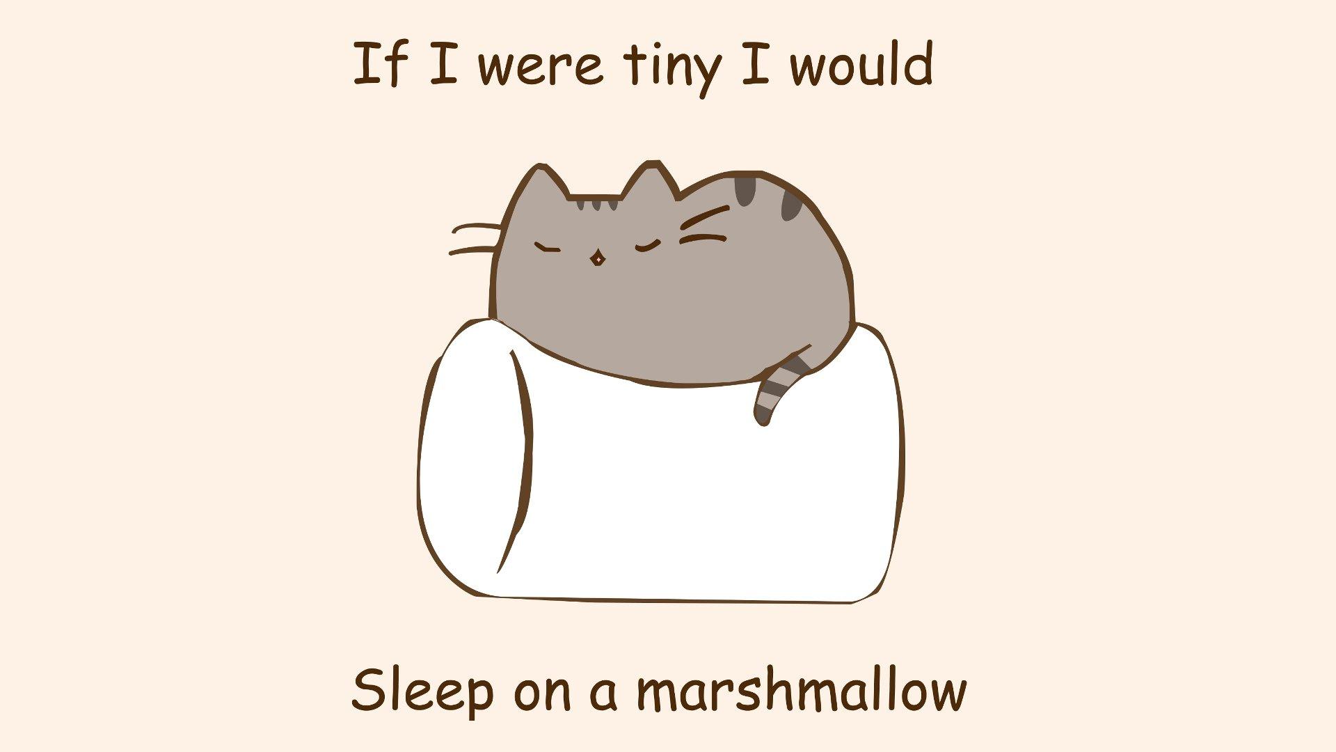 1920x1080 paintings, Minimalistic, Text, Cats, Marshmallow, Phrase, Simple Wallpaper HD / Desktop and Mobile Background