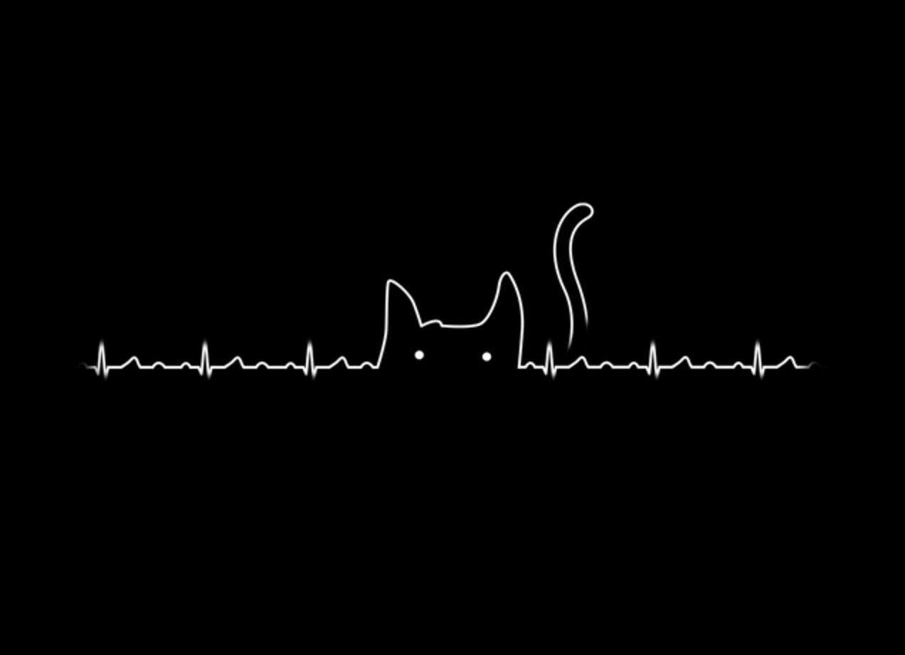 1272x920 Aesthetic Black Cat Header