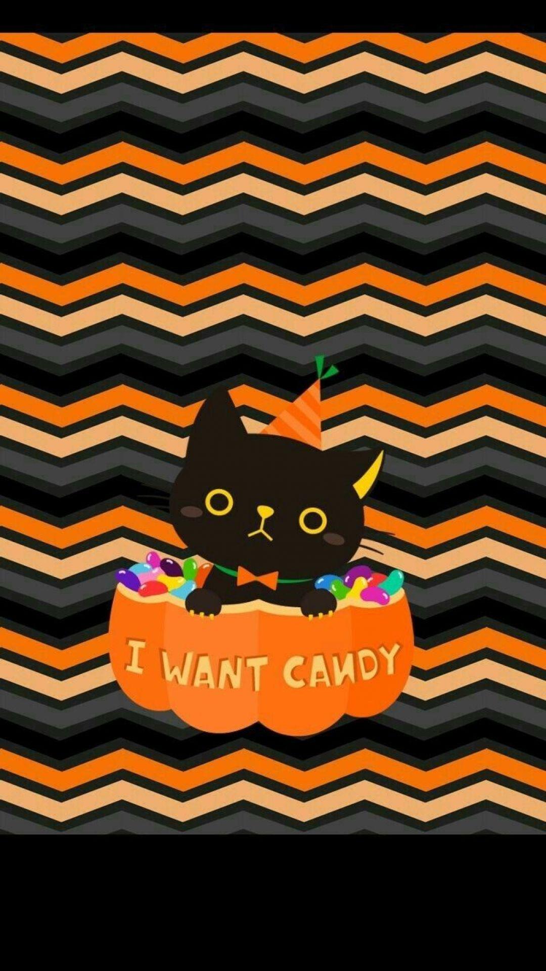 1080x1919 iPhone Halloween Wallpaper Cute Black Cat Halloween (2021)