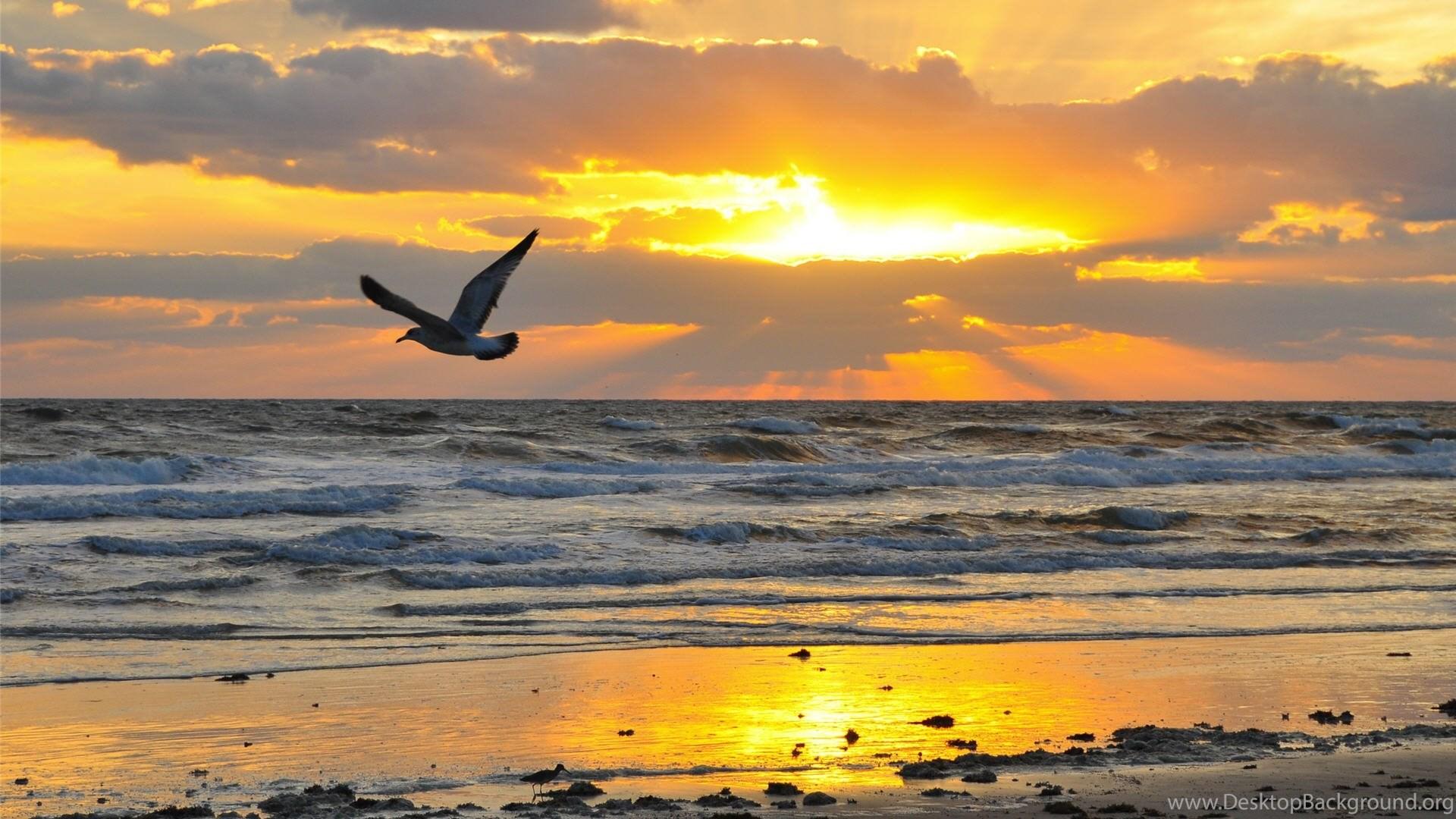 1920x1080 Sunrise Beach Wallpaper WallDevil Best Free HD Desktop And. Desktop Background