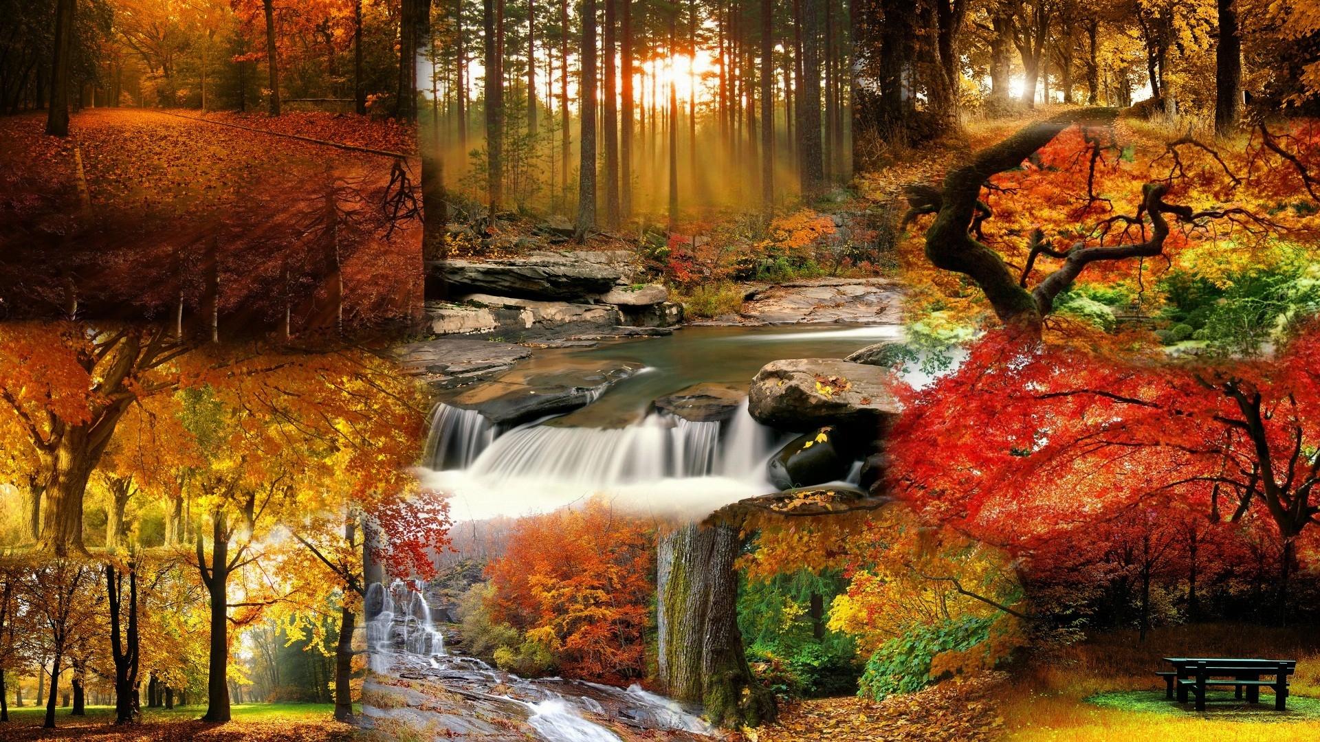 1920x1080 water sunrise nature autumn wtf streams waterfalls High Quality Wallpaper, High Definition Wallpaper