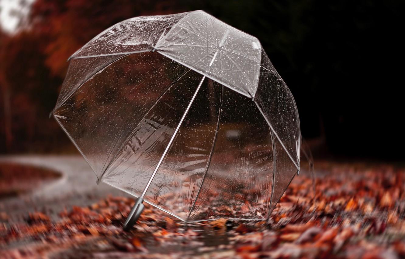 1332x850 Wallpaper road, autumn, leaves, drops, trees, rain, umbrella image for desktop, section разное